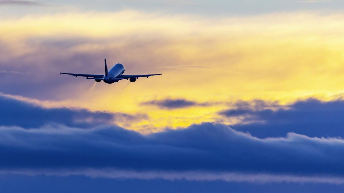 Flugzeug über den Wolken: Einige Fluggesellschaften bieten nachhaltiges Kerosin bereits als Kompensationsvariante an.