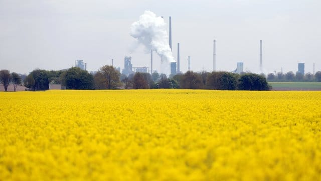 Die Kokerei von ThyssenKrupp in Duisburg: Die Rettungskräfte konnten den Mann nur noch tot bergen. (Archivbild)