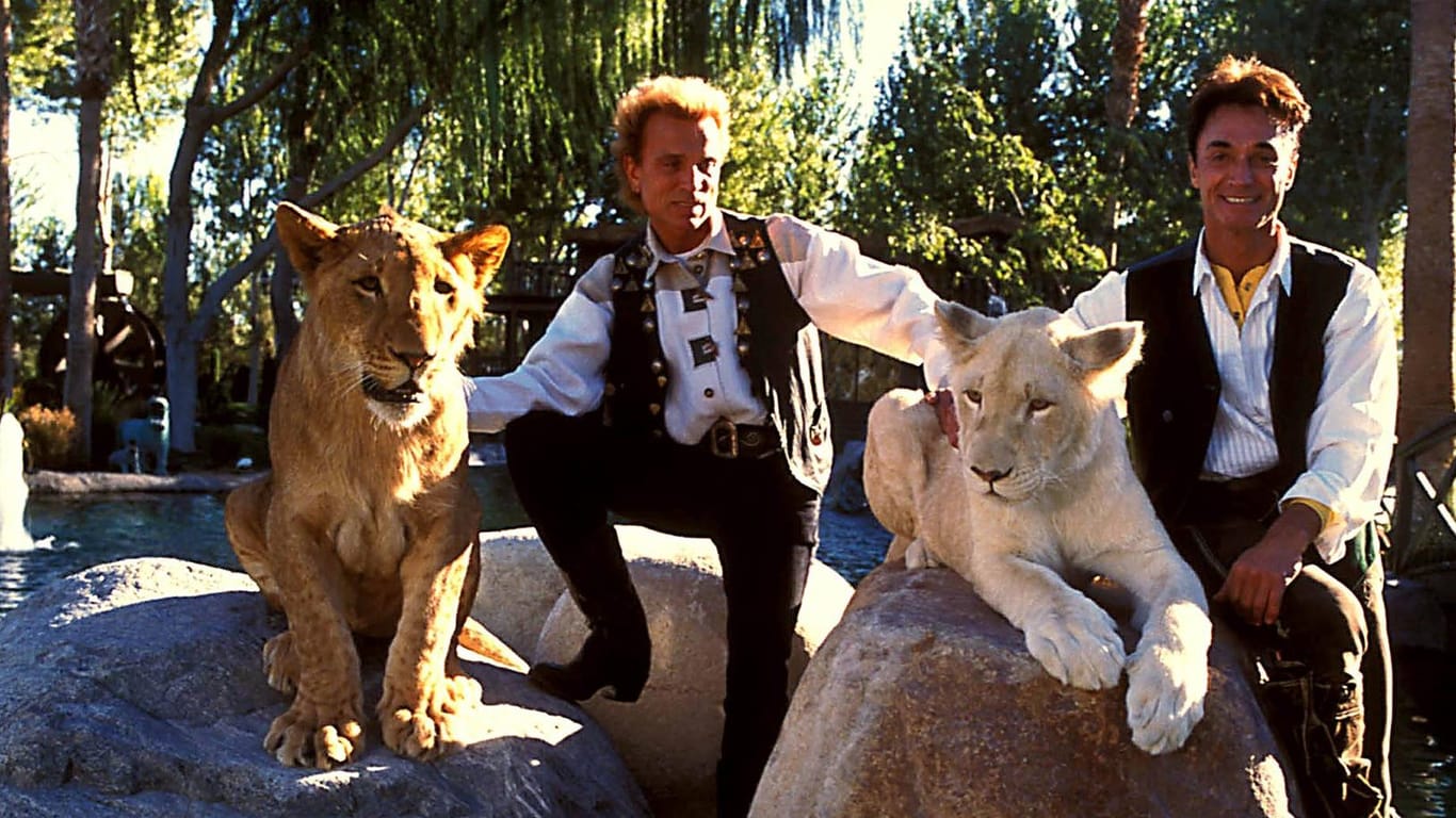 Siegfried und Roy: Ihre Auftritte mit Tigern und Löwen sind legendär.