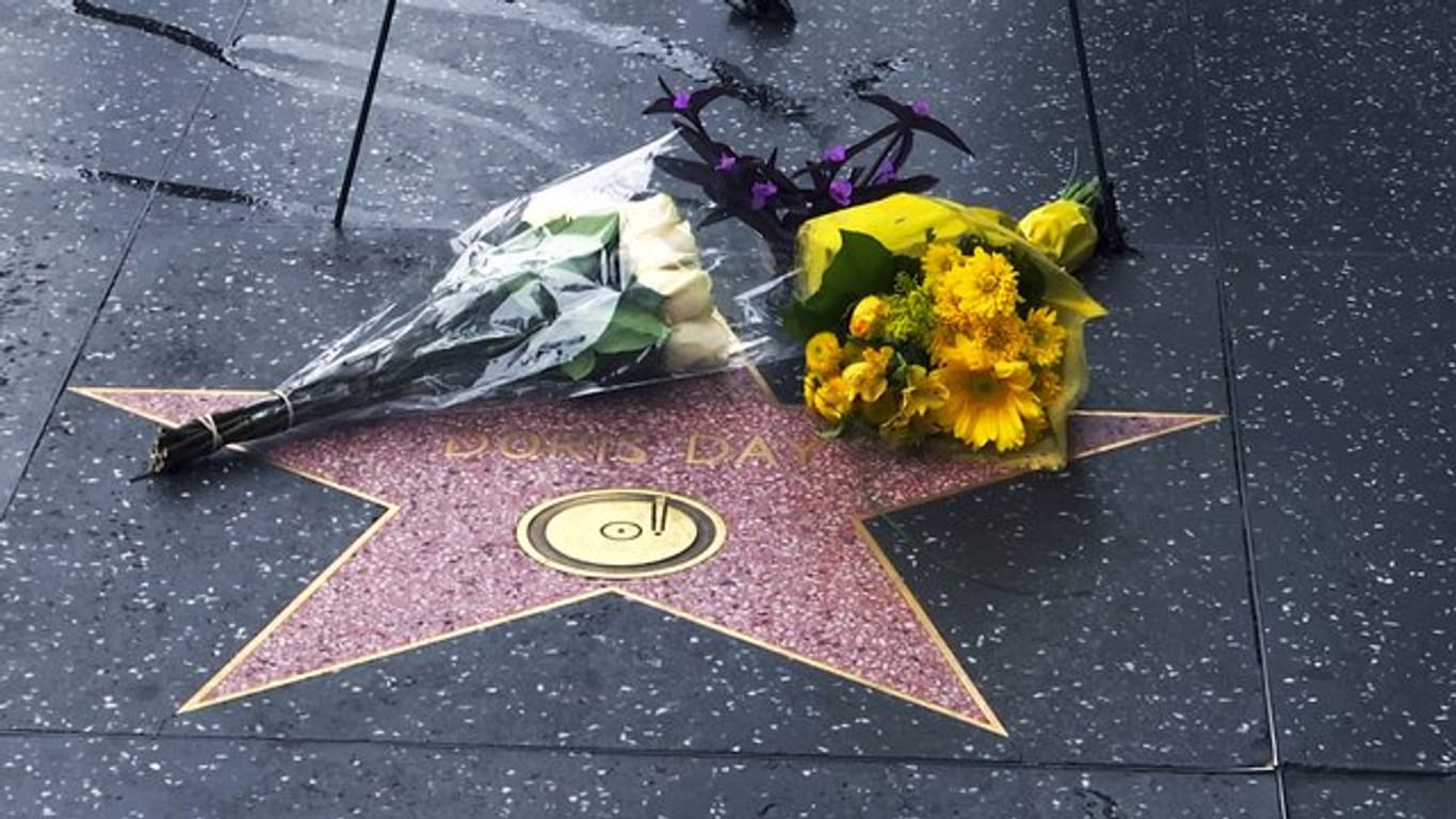 Erinnerung an Doris Day auf dem Hollywood Walk of Fame.