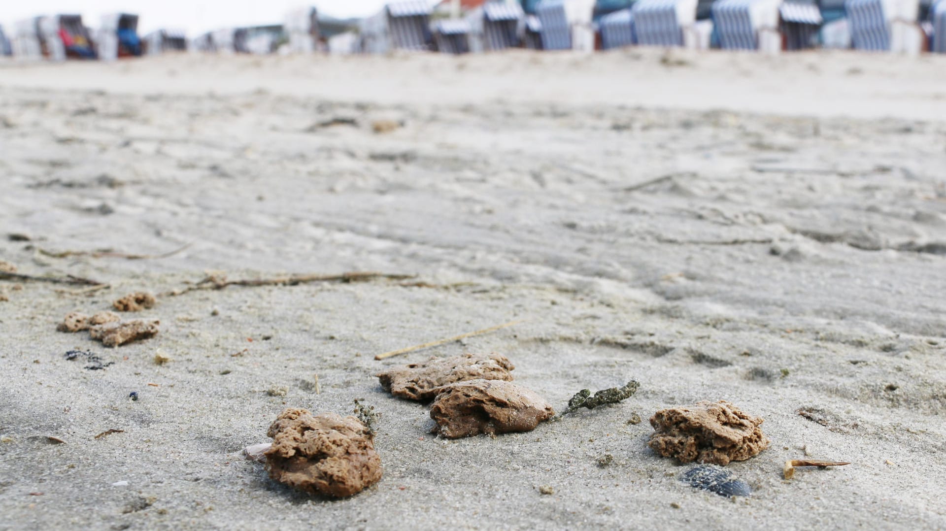 Unbekannte Klumpen auf Norderney: Der Landesbetrieb für Wasserwirtschaft, Küsten- und Naturschutz (NLWKN) untersucht zurzeit das angeschwemmte Material.