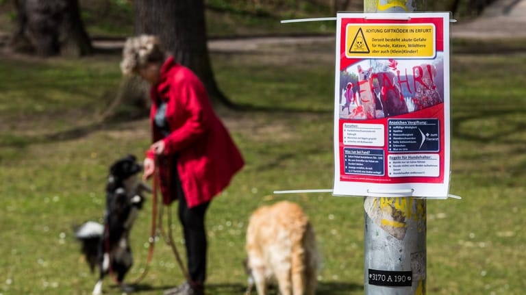 Frau mit Hunden: Giftköder können für Haustiere gefährlich werden. Wer sie auslegt, wird aber nur unter bestimmten Umständen bestraft.