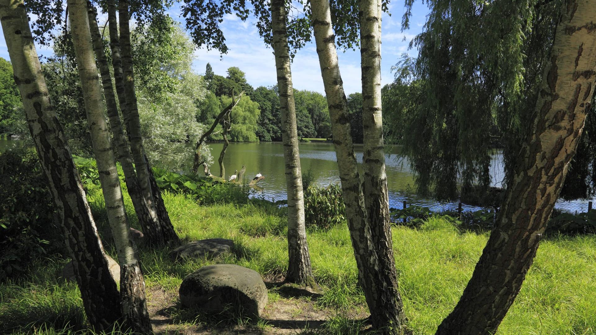 Der Schrevenpark in Kiel: In diesem Park wurde der vergessene Zweijährige gefunden.