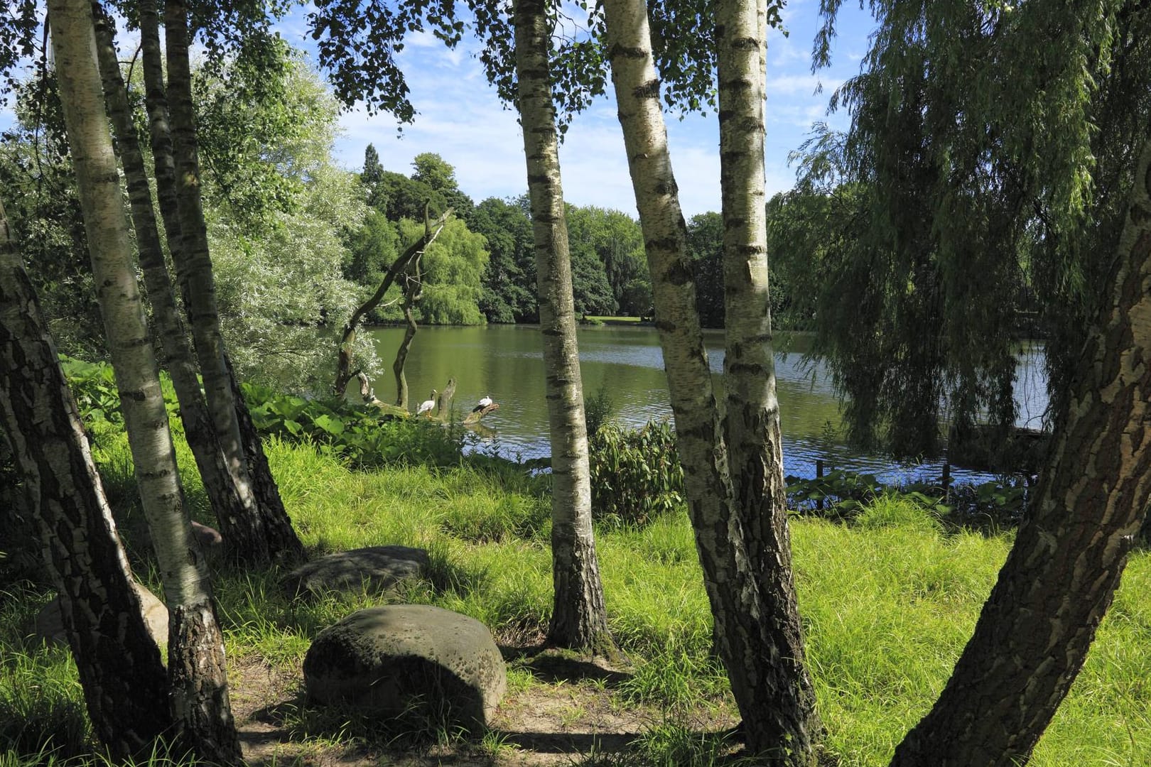 Der Schrevenpark in Kiel: In diesem Park wurde der vergessene Zweijährige gefunden.