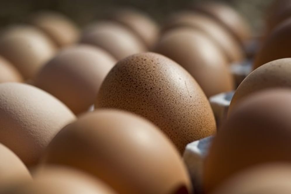 Im Supermarkt ist ein Ei nicht gleich ein Ei.