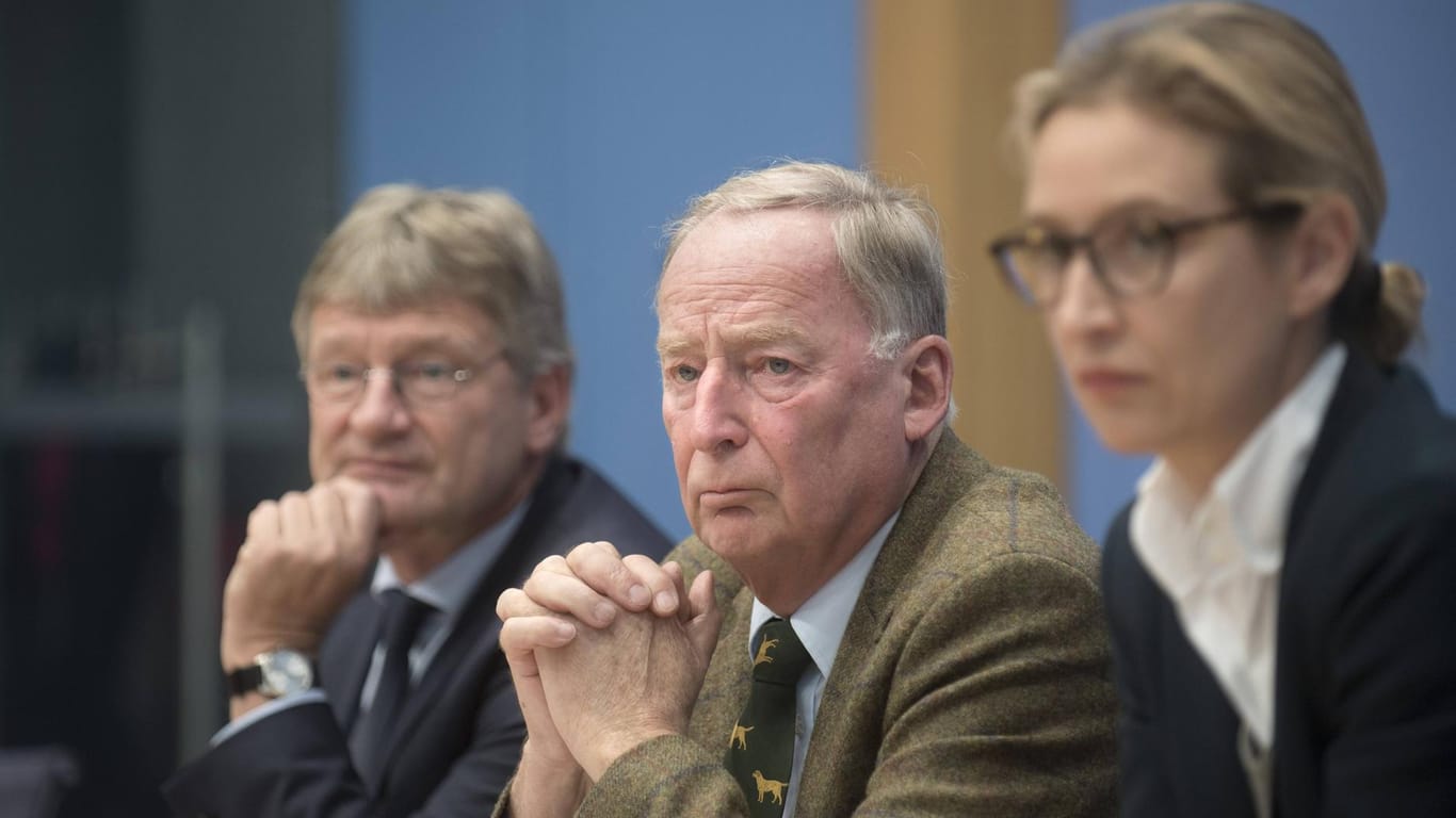 Die AfD-Vorsitzenden Jörg Meuthen (l.) und Alexander Gauland mit der Fraktionsvorsitzenden Alice Weidel: Die AfD geht gerichtlich gegen Strafbescheide der Bundestagsverwaltung im Spendenskandal vor.