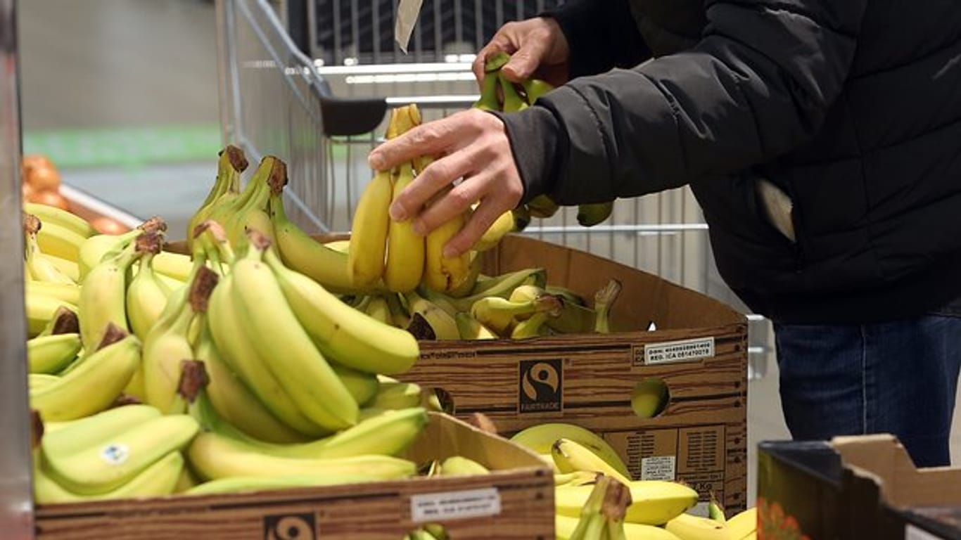 Mann nimmt Bananen aus einer Kiste: Kunden greifen lieber zu billig, anstatt faire Arbeitsbedingungen zu unterstützen.