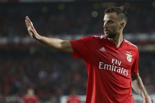 Torschützenkönig und Meister mit Benfica Lissabon in Portugal: Haris Seferovic.