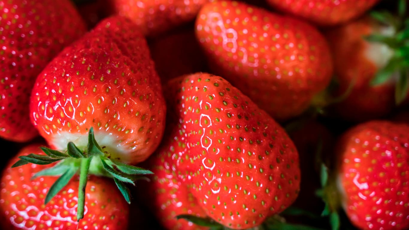 Erdbeeren: Rund 700 Euro Schaden entstanden durch den Diebstahl. (Symbolbild)