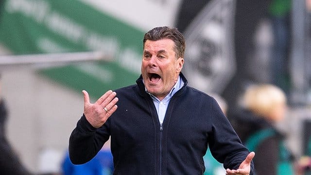 Gladbachs Coach Dieter Hecking beschwert sich über den Umgang mit Trainern in der Bundesliga. Gladbachs Coach Dieter Hecking beschwert sich über den Umgang mit Trainern in der Bundesliga.