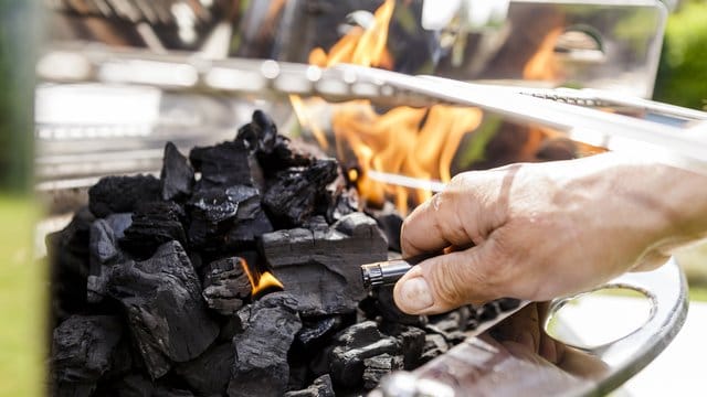 Holzkohle für den Grill stammt am besten von heimischen Hölzern und aus legaler Waldbewirtschaftung.