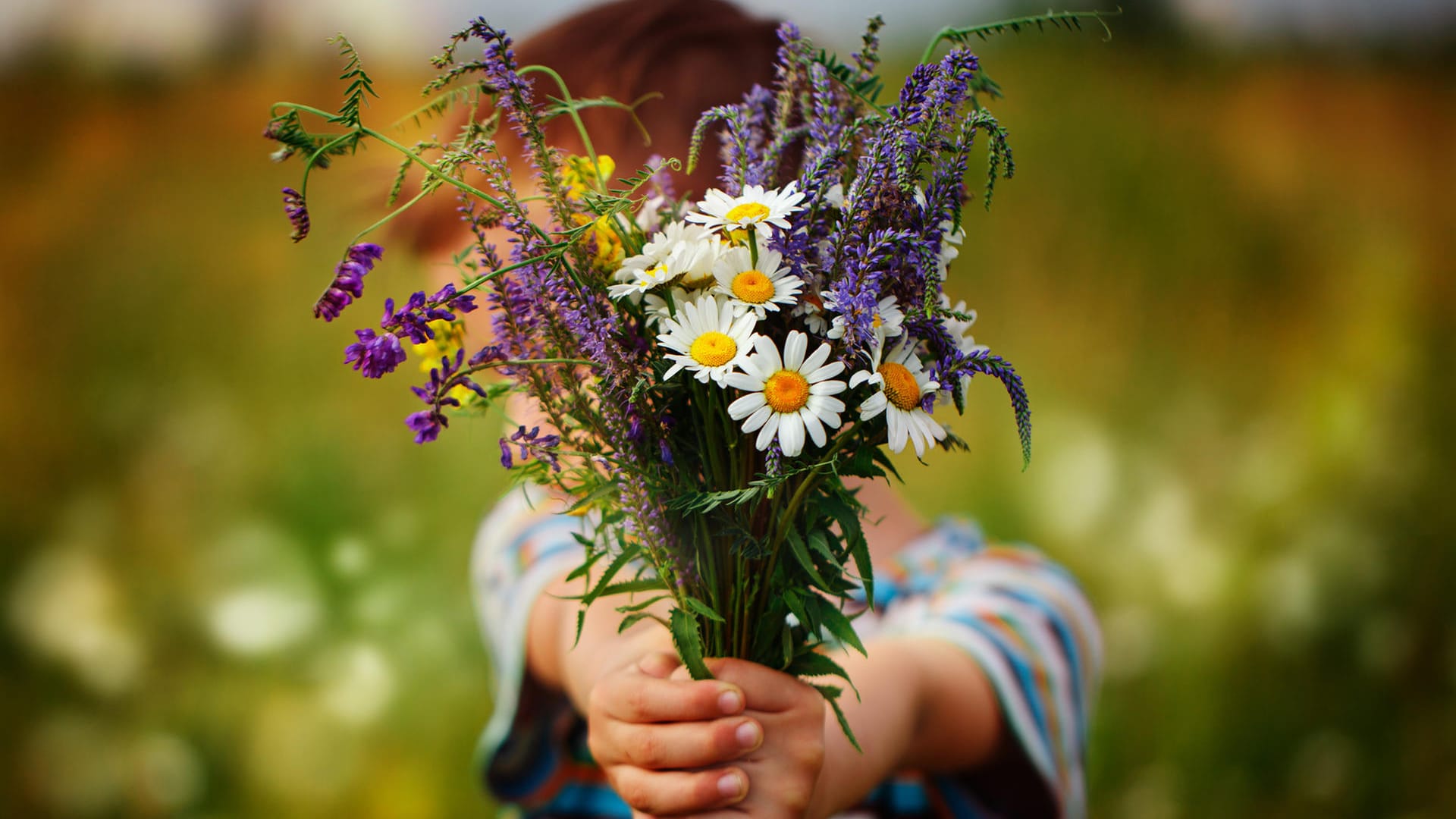 Blumenstrauß: Frisch gepflückte Blüten sind besonders schön.