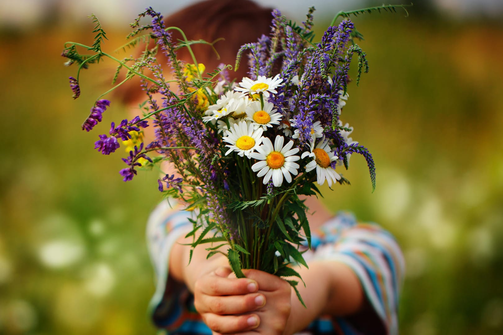 Blumenstrauß: Frisch gepflückte Blüten sind besonders schön.