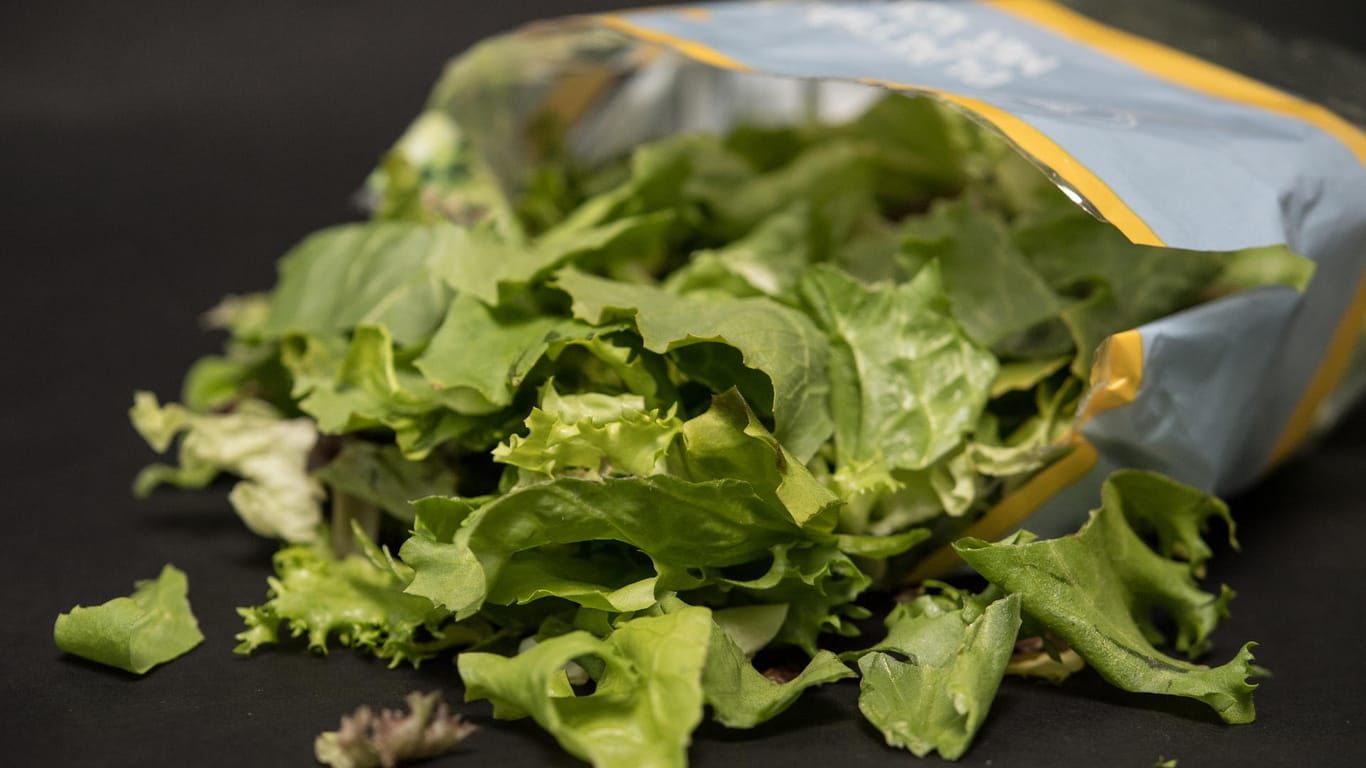 Fertigsalat: In bereits geöffneten Packungen mit Salatmischungen können sich Keime innerhalb weniger Tage stark vermehren.