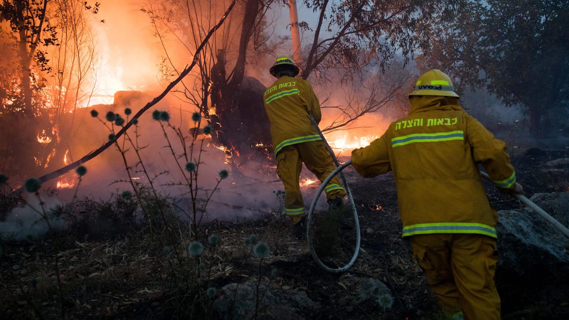 Israel: Feuerwehrleute löschen einen Waldbrand bei Kibbuz Harel.