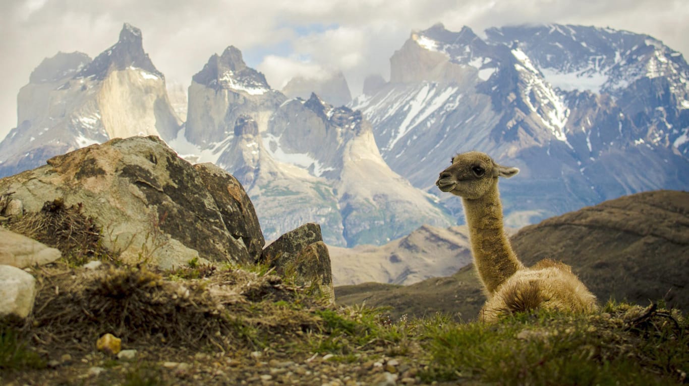 Der chilenische Nationalpark Torres del Paine (Symbolbild): Hier ist ein deutscher Forscher gestorben.