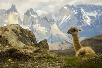 Der chilenische Nationalpark Torres del Paine (Symbolbild): Hier ist ein deutscher Forscher gestorben.