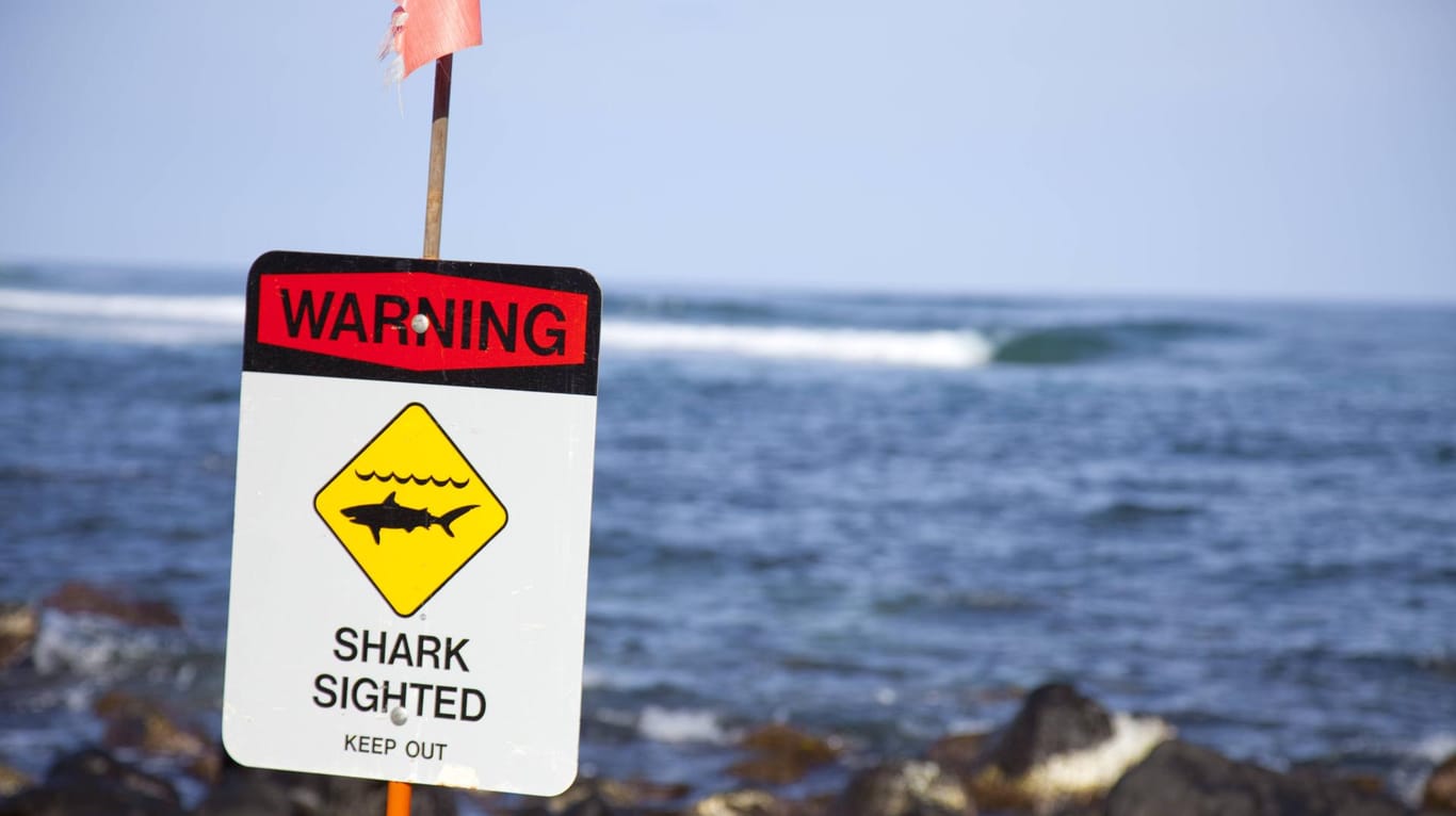 Mit Warnschildern wird auf Hawaii auf Hai-Sichtungen in Küstennähe aufmerksam gemacht.