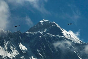 Vögel am Mount Everest: Die Familie des verstorbenen US-Amerikaners bestätigte den Tod des 62-Jährigen. (Archivbild)