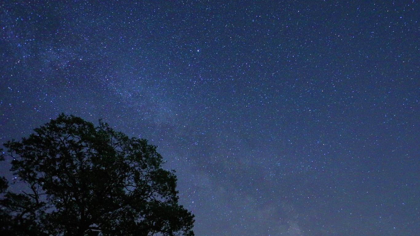 Sternenhimmel am Kehrenberg: Die Milchstraße ist selten am Nachthimmel erkennbar.
