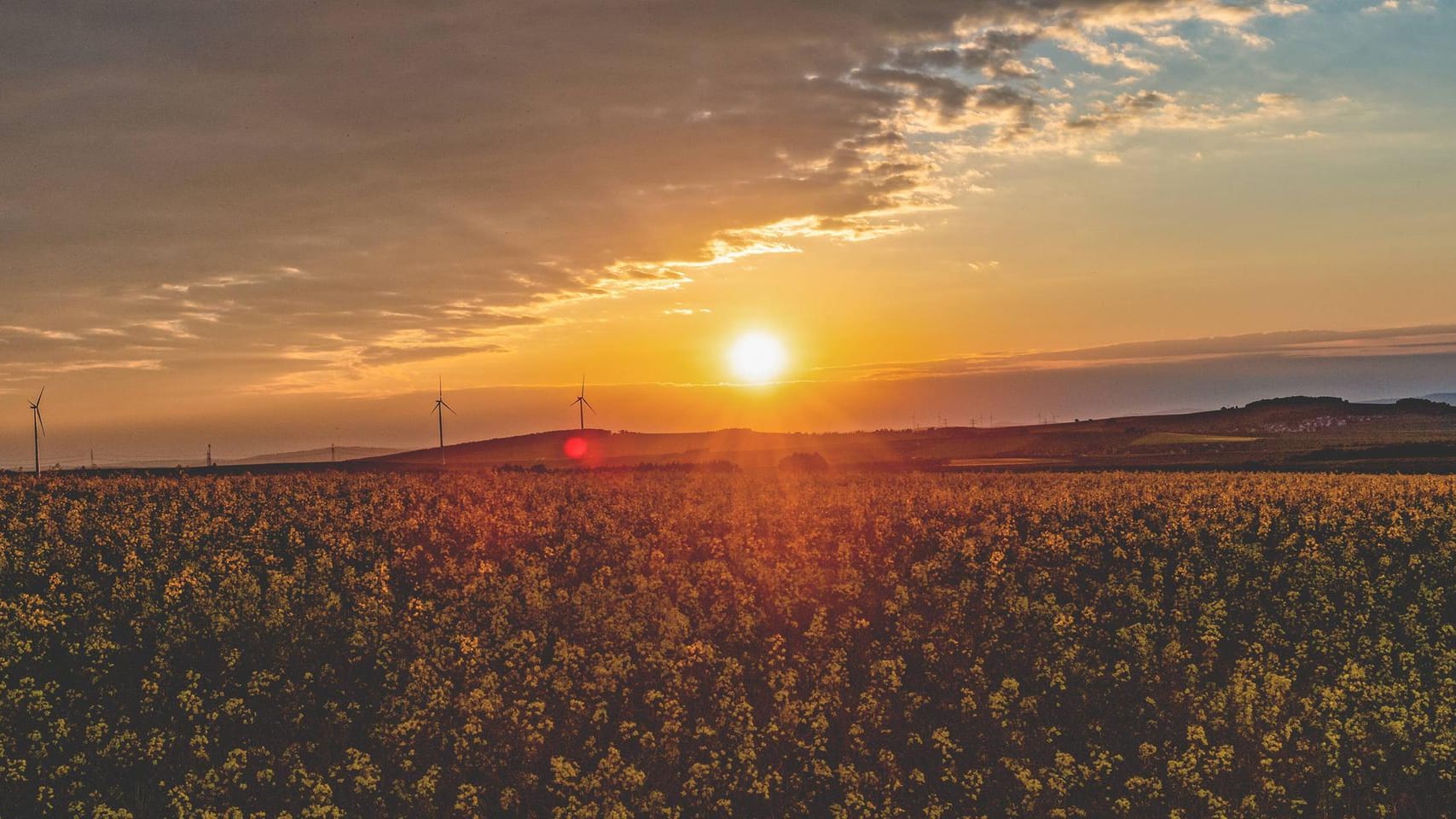 Der Sommer steht in den Startlöchern: Am Wochenende könnte die 30-Grad-Marke das erste Mal in diesem Jahr geknackt werden. Es wird sommerlich!