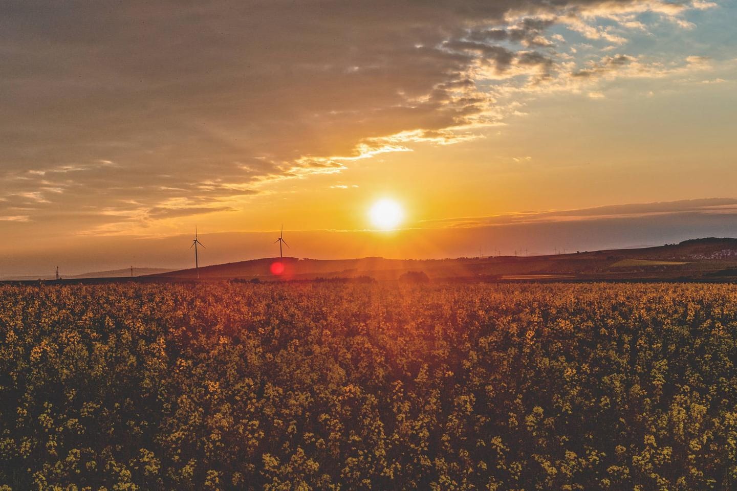 Der Sommer steht in den Startlöchern: Am Wochenende könnte die 30-Grad-Marke das erste Mal in diesem Jahr geknackt werden. Es wird sommerlich!