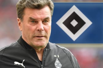 Dieter Hecking: Der 54-Jährige übernimmt zur kommenden Saison beim Hamburger SV.