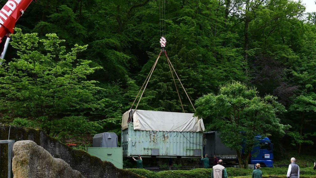 In dieser Transportbox wurde "Tusker" in die Niederlande gebracht.