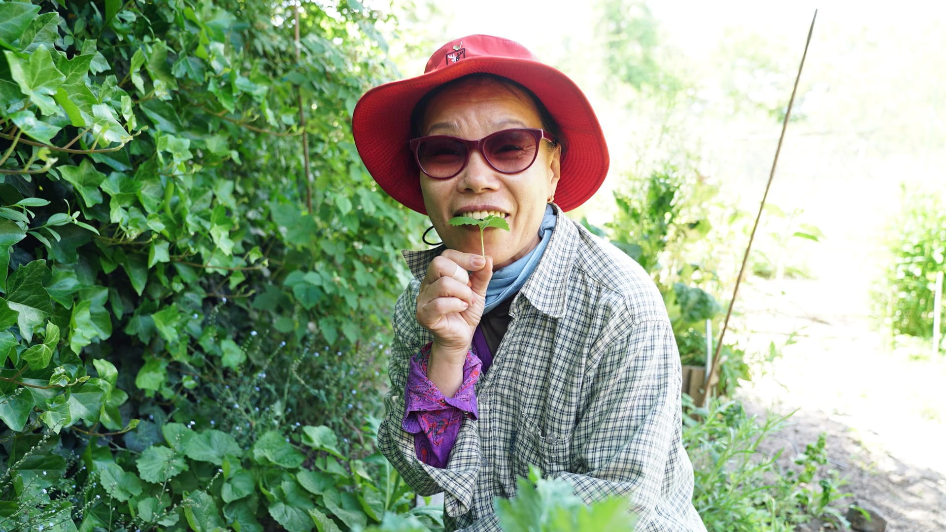 Gum-Sum Kim-Münchow: Koreanisches Gemüse schmeckt ihr gut, Blumen findet sie aber hübscher.