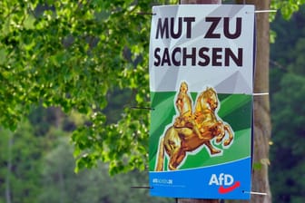 AfD-Plakat in Sachsen: Die Partei hat in drei Ost-Bundesländern zu wenige Kandidaten, um ihre gewonnenen Kommunalwahl-Mandate zu besetzen.