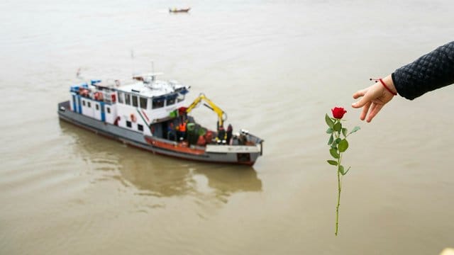 Eine Frau wirft eine Blume von der Margaretenbrücke ins Wasser. Eine Frau wirft eine Blume von der Margaretenbrücke ins Wasser.