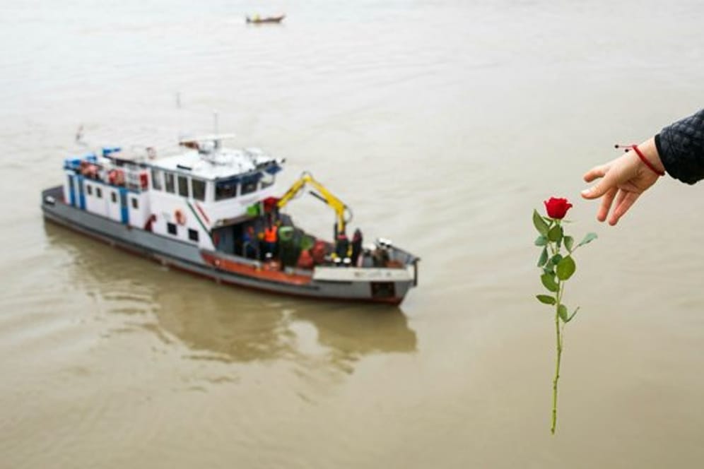 Eine Frau wirft eine Blume von der Margaretenbrücke ins Wasser.