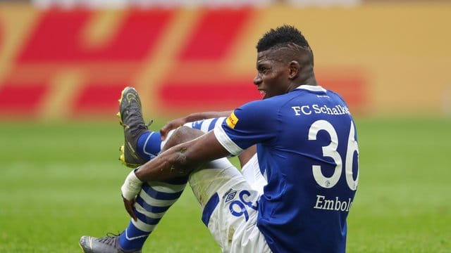 Der Schalker Breel Embolo sagte dem Schweizer Nationalteam verletzungsbedingt ab. Der Schalker Breel Embolo sagte dem Schweizer Nationalteam verletzungsbedingt ab.