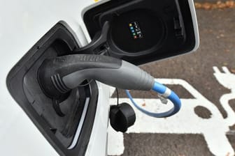 Die Bundesregierung verlängert die staatliche Kaufprämie für Elektroautos bis Ende 2020.