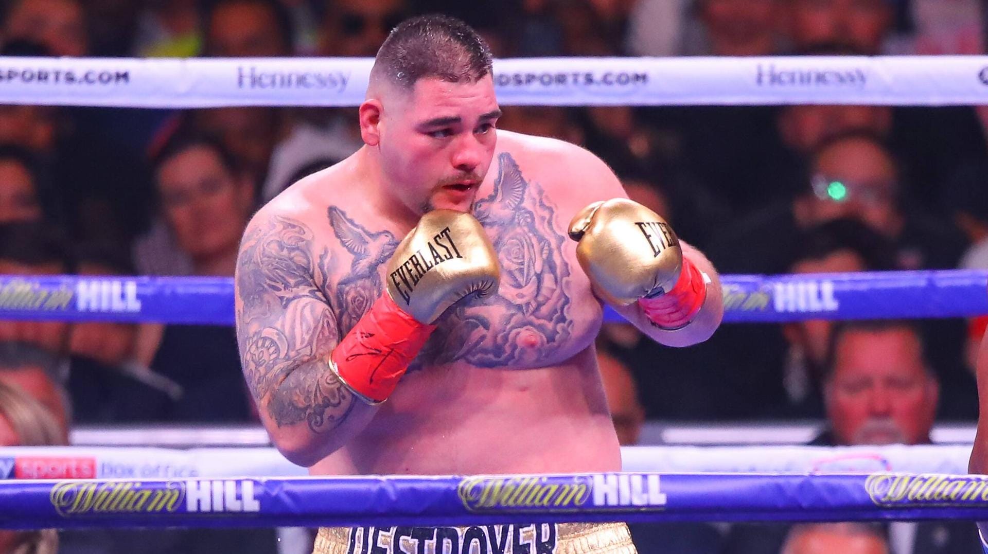 Sorgte für die Sensation: Boxer Andy Ruiz jr.