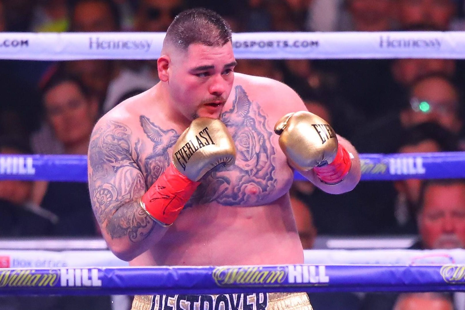 Sorgte für die Sensation: Boxer Andy Ruiz jr.