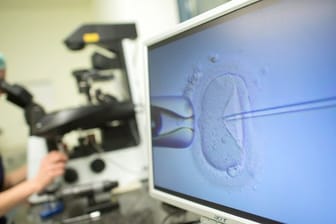 Intrazytoplasmatische Spermieninjektion in einem Magdeburger Kinderwunschzentrum.