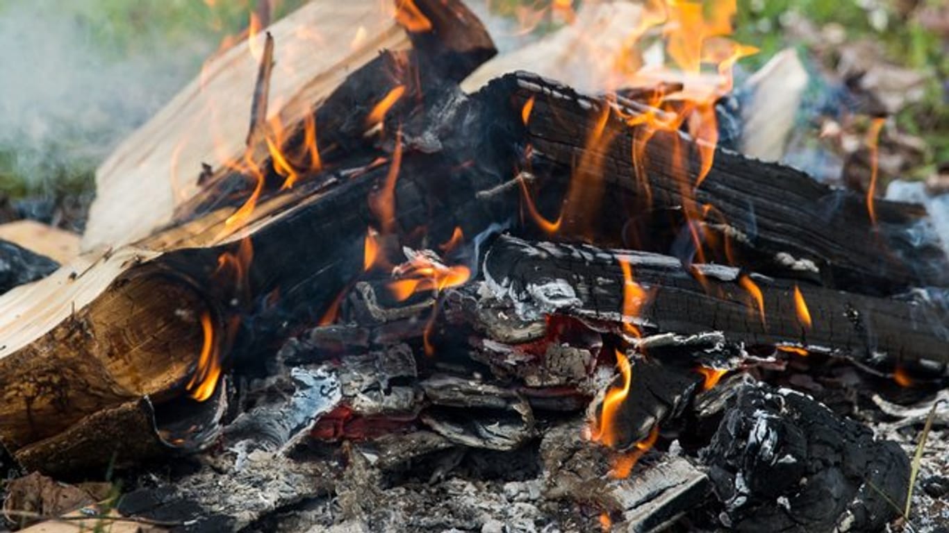 Für ein Lagerfeuer sollte man Holz mit wenig Einschlüssen von Harz wählen.