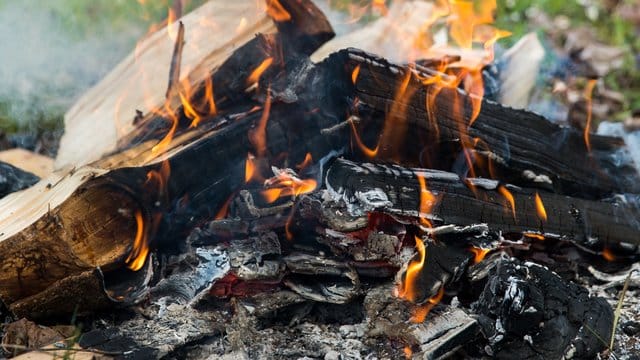 Für ein Lagerfeuer sollte man Holz mit wenig Einschlüssen von Harz wählen.