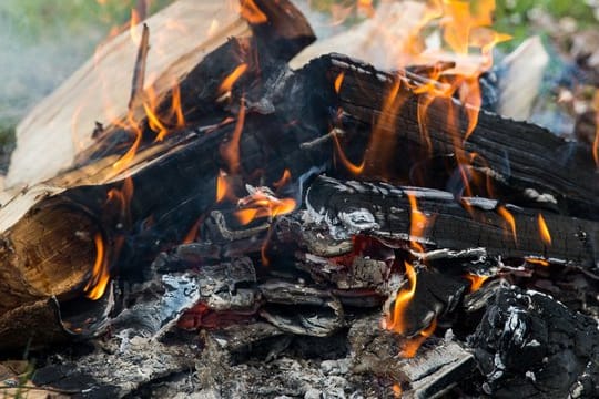 Für ein Lagerfeuer sollte man Holz mit wenig Einschlüssen von Harz wählen.