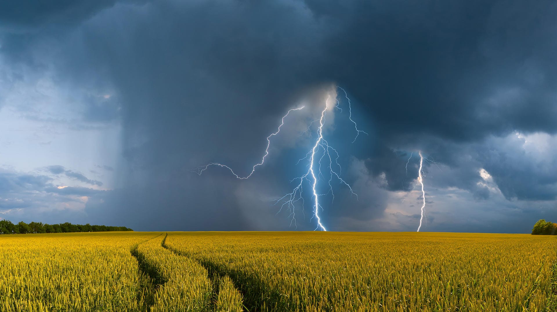 Gewitter über einem Kornfeld: Im Osten Deutschlands drohen ab Donnerstag Unwetter.