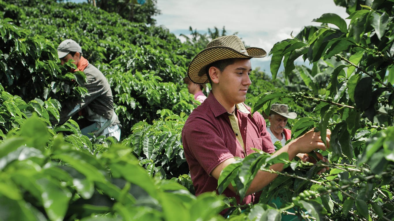Nespresso arbeitet im Rahmen seines Kaffeeanbauprogramms mit einer Fairtrade-Kooperative in Indonesien zusammen, die landwirtschaftliche Gemeinschaften unterstützt.
