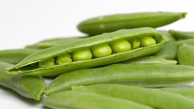 Erbsen sollten 10 bis 15 Minuten lang gekocht werden - eine Prise Zucker im Salzwasser sorgt dafür, dass die Perlen dabei grün bleiben.