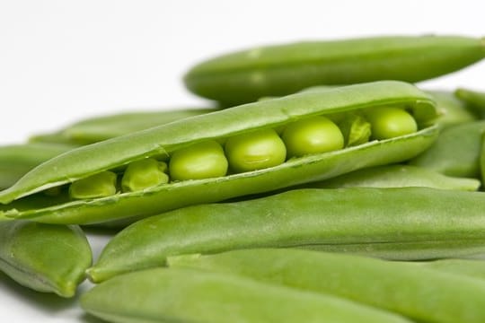 Erbsen sollten 10 bis 15 Minuten lang gekocht werden - eine Prise Zucker im Salzwasser sorgt dafür, dass die Perlen dabei grün bleiben.