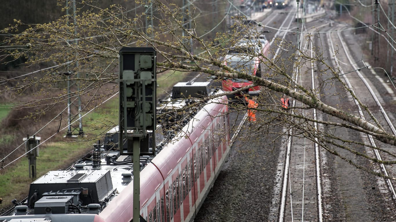 Nordrhein-Westfalen, Dormagen: Ein umgestürzter Baum liegt nach einem Sturm auf einer Oberleitung einer Bahnstrecke bei Dormagen.