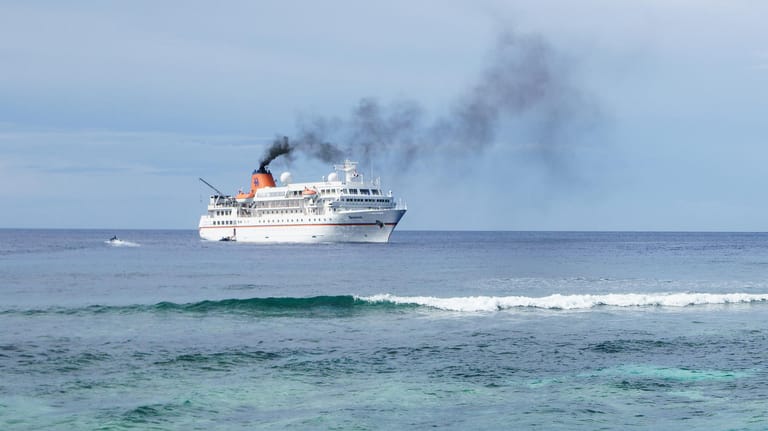 Kreuzfahrtschiff auf hoher See: Die Schiffe gelten als große Umweltverschmutzer.