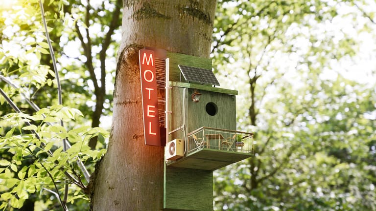 Vogelhäuschen