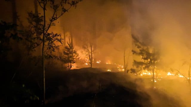 Waldbrand bei Jüterbog