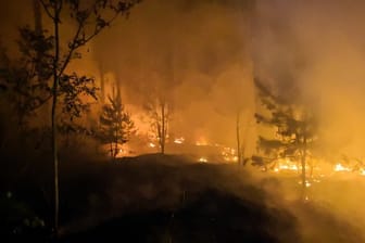 Waldbrand bei Jüterbog