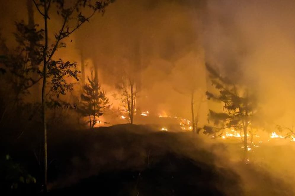 Waldbrand bei Jüterbog
